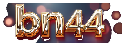 bn44 logo